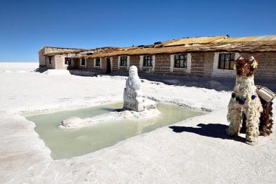 Full Day Uyuni Salt Flat | Train cemetery | Island of IncaHuasi |