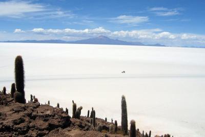 Uyuni Salt Flat Tour From Uyuni Uyuni Salt Flat Tour From Uyuni