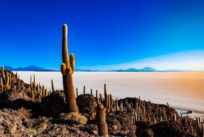 Salar De Uyuni (1Day) - Spanish Speaking Guide Salar De Uyuni (1Day) - Spanish Speaking Guide