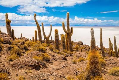 Train cemetery | Salt Flat Tour full day | Island of IncaHuasi |  Train cemetery | Salt Flat Tour full day | Island of IncaHuasi |