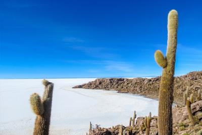 Uyuni Salt Flats - FULL DAY - English Speaking Guide Uyuni Salt Flats - FULL DAY - English Speaking Guide