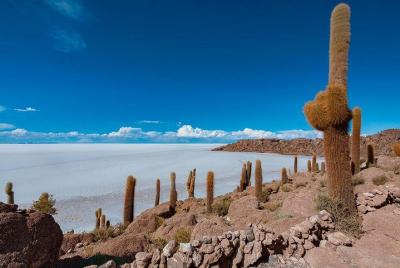 Uyuni Salt Flat Tour 2 days 1 night / Tunupa Volcano / Group Serv