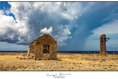 Photography tour Washington Slagbaai National Park 