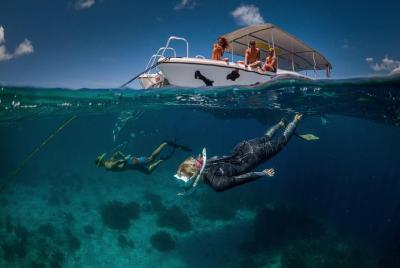 Double Dip Snorkel Trip Double Dip Snorkel Trip