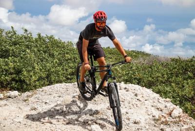 Mountainbike 1 day rental Mountainbike 1 day rental