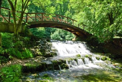 Private tour - Bosna river source - Nature park Private tour - Bosna river source - Nature park