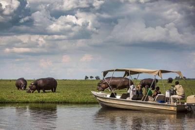 Chobe River Game Cruise Chobe River Game Cruise