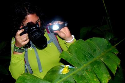 Tortuguero Night Walk (Aaron Tour Tortuguero Night Walk (Aaron Tour's)