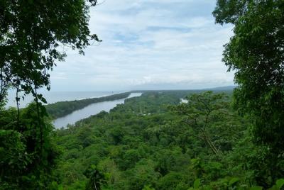 The best of Tortuguero: Canoe, hike and night tour (turtle in Jul-Oct) The best of Tortuguero: Canoe, hike and night tour (turtle in Jul-Oct)