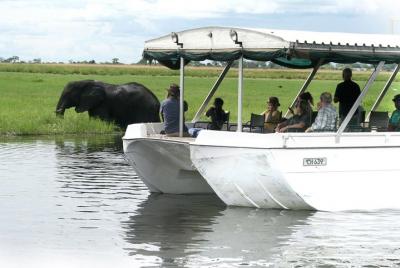 Sunset Cruise on Chobe River with Hotel Pickup from Kasane Sunset Cruise on Chobe River with Hotel Pickup from Kasane