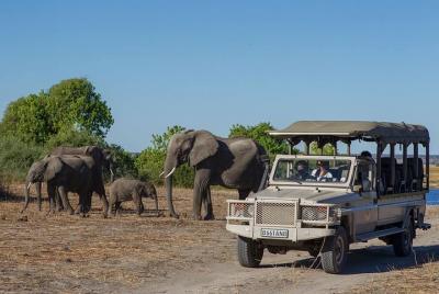 Chobe Game Drive Chobe Game Drive