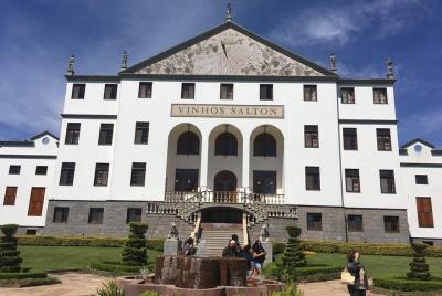 Rio das Antas Valley Tour in Bento Gonçalves RS