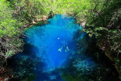 Skip the Line: Lagoa Misteriosa Admission Ticket with Scuba Divin