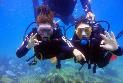 Diving Experience In Arraial do Cabo - The Brazilian Caribbean Diving Experience In Arraial do Cabo - The Brazilian Caribbean