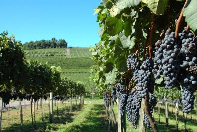 Tour Gran Reserva Tour Gran Reserva