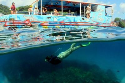Half-Day Catamaran Tour of the Fernando de Noronha Archipelago Half-Day Catamaran Tour of the Fernando de Noronha Archipelago