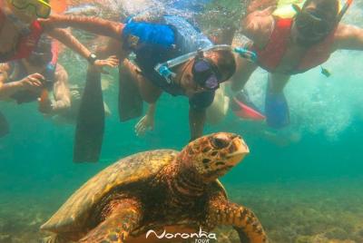 Full Day Guided Tour to Fernando de Noronha Island Full Day Guided Tour to Fernando de Noronha Island