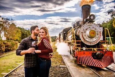 Wineries of the South, Maria Fumaça Train and Italian Epic Park Wineries of the South, Maria Fumaça Train and Italian Epic Park