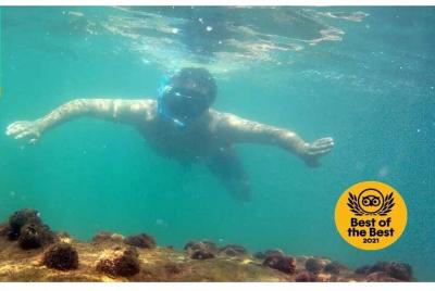 Macuco Island Diving Tour by Zimbros Ecotour