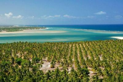 Tour to French Beaches, Barra de São Miguel and Gunga - De Maceió Tour to French Beaches, Barra de São Miguel and Gunga - De Maceió