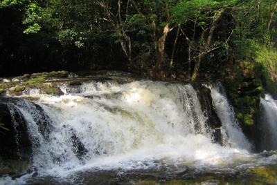 Tour to Presidente Figueiredo: Amazon Waterfalls Tour to Presidente Figueiredo: Amazon Waterfalls