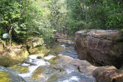 Presidente Figueiredo Waterfalls Day Trip from Manaus Presidente Figueiredo Waterfalls Day Trip from Manaus