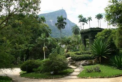 Rio de Janeiro Botanical Garden Tour