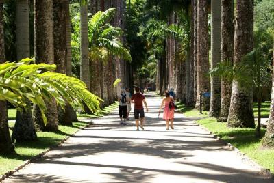 Rio Botanical Garden and Tijuca Rainforest Jeep Tour Rio Botanical Garden and Tijuca Rainforest Jeep Tour