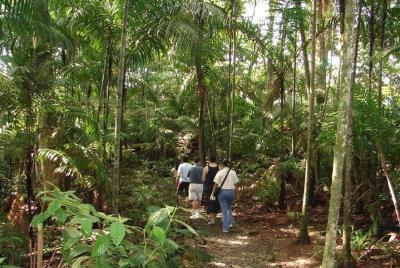 Panama City Metropolitan Park Trail Tour Panama City Metropolitan Park Trail Tour