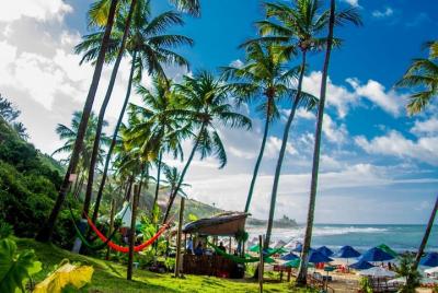 1 Day Tour to Pipa Beach / RN - Departing from Natal / RN 1 Day Tour to Pipa Beach / RN - Departing from Natal / RN