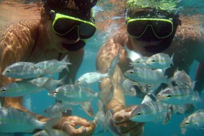 Tour To Maracajaú With Catamaran Ride Tour To Maracajaú With Catamaran Ride