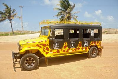 Kite Jeep Tour with Tree Canopy Kite Jeep Tour with Tree Canopy