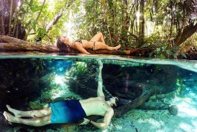 Sightseeingss in Palmas Things to do in  Palmas 174184