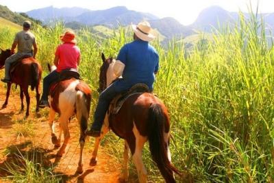 Horseback Riding in Paraty - Horseback Ride Horseback Riding in Paraty - Horseback Ride