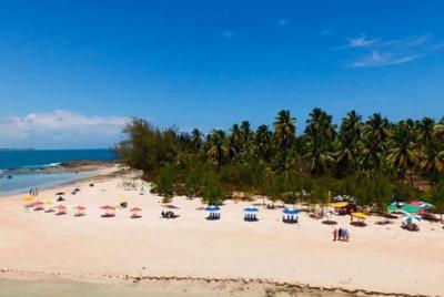 Santo Aleixo Island Santo Aleixo Island