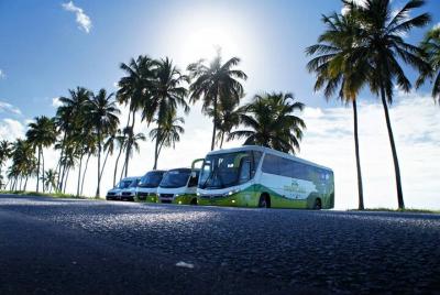 Transportation from Recife International Airport to Maragogi