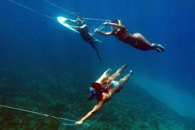 Underwater Boat Hitchhiking with Barbecue Lunch