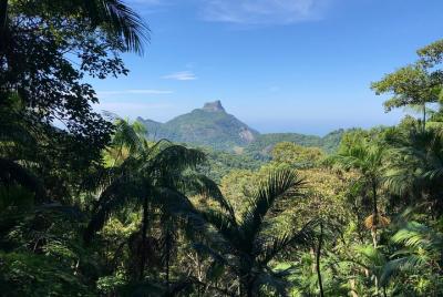 Experience a lovely hike through Tijuca Forest and Pedra Bonita!