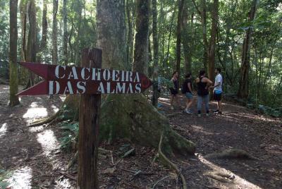 2 Days in Rio: Tijuca Forest & Two Brothers Hiking Tours