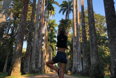 Natural Highlights of Rio