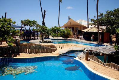 Praia do Forte with Guarajuba Beach - Day Trip from Salvador