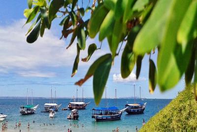 Tropical Itaparica Island Tour Including Lunch Tropical Itaparica Island Tour Including Lunch