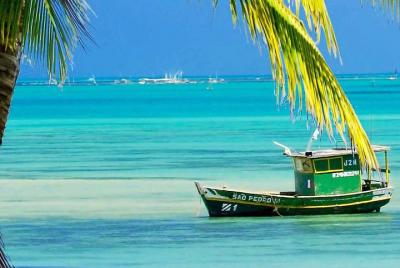 4-Days Experience at Salvador de Bahia, Savour the cultural fusio 4-Days Experience at Salvador de Bahia, Savour the cultural fusio
