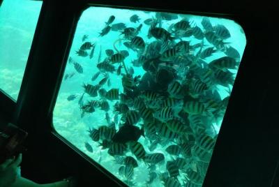 Semi Submarine Underwater Tour