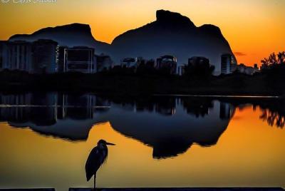 Venice in Rio Boat Trip to Gigóia Island with visit to Alligators