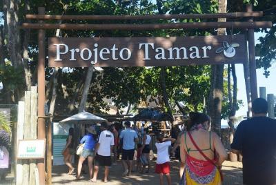 Praia do Forte Shared Transfer From Salvador  Praia do Forte Shared Transfer From Salvador