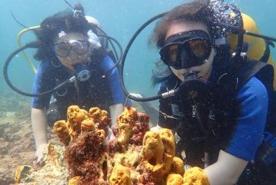 Scuba Dive in Salvador