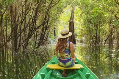 Live the best 10 attractions in Alter do Chão