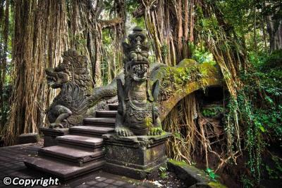 Ubud Private Tour Ubud Private Tour