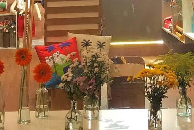 Enjoy the handicraft and the culture of Capixaba!